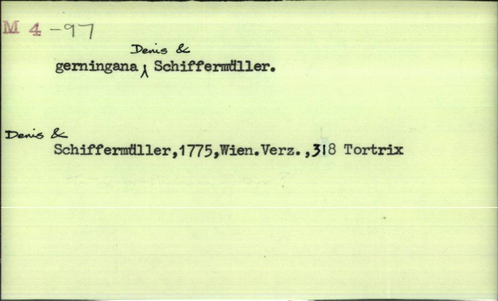 front of card